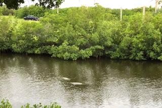 464 Little Harbor - Ruskin - 2