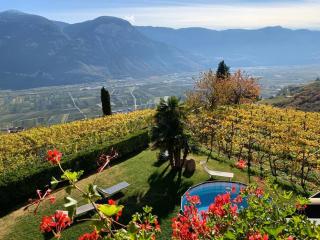 Santlhof-Chardonnay - Cortaccia - 6