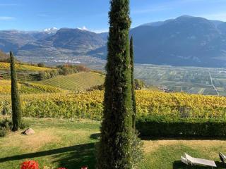 Santlhof-Chardonnay - Cortaccia - 4
