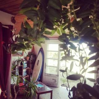 Guesthouse Évasion - Contis-les-Bains - 7