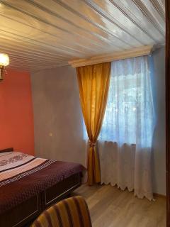 Armenian village house in Dilijan - Dilijan - 6