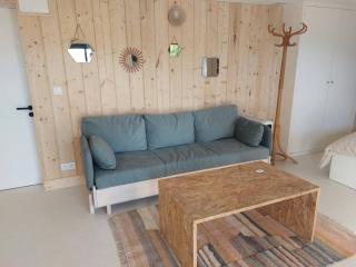 Studio Chez Suzanne - Saint-Jorioz - 1