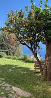 La casa dei ciucciarielli - Furore - 4