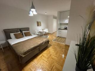 LL65 Apartmens Airport Nikola Tesla - Ledine - 8