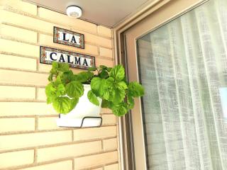 1ª LÍNEA DE PLAYA. Apartamento: LA CALMA - Comarruga - 2