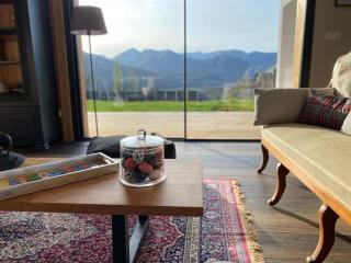 Le Chalet de Castille - chalet pyrénéen grand confort - spa - Beaucens - 0