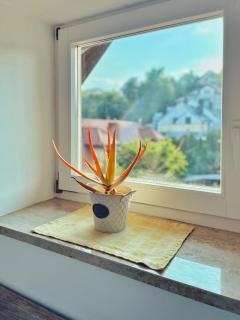 Urban Jungle - luksusowy apartment w Gdyni. - 1