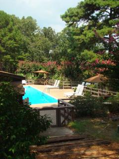 Mountain Harbor King Guest Room on Lake Ouachita - Mount Ida - 8