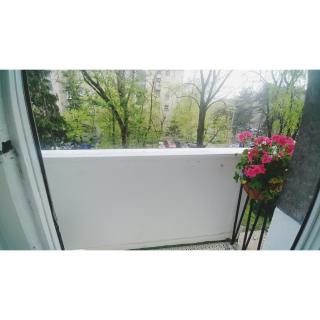 Kennedy apartment - Tošin Bunar - 7