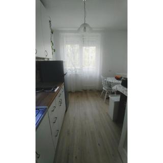 Kennedy apartment - Tošin Bunar - 3