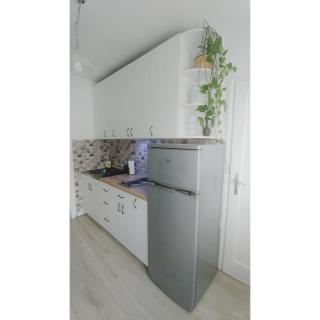 Kennedy apartment - Tošin Bunar - 9