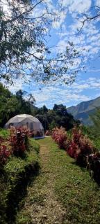 Colibamboo Domo Glamping - Pacho - 9