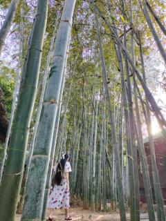 Bamboo Forest River View Hostel - Ywama - 6
