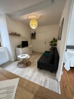 Joli appartement proche centre ville, thermes, Aquensis - 5