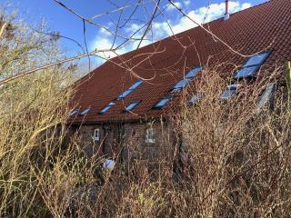 Ferienhof Spiegelhaus - Krummhörn - 4