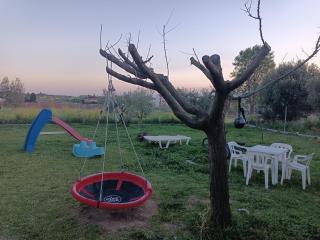 THE SECRET OLIVE HOUSE - 2