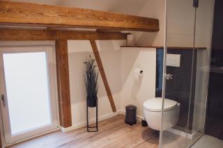 Apartment im alten Fronhof - Balingen - 1