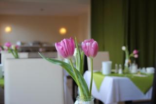Hotel und Restaurant "Zur Zwiebel" - Peenemünde - 3