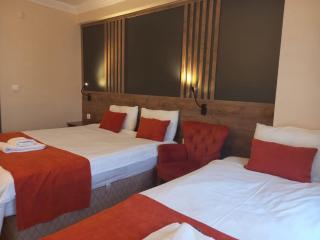 ADOR TROIA HOTEL - Çanakkale - 3