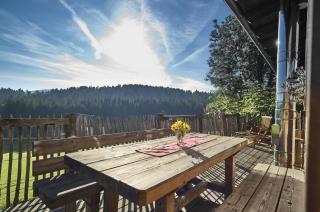 Bio-Ferienhof Höfler - 9