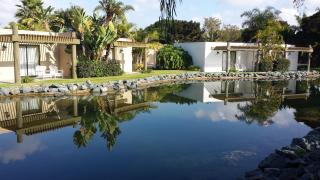 Paradise Point Resort & Spa - 9