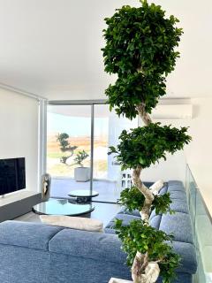 Villa Veiga with heated pool - 3