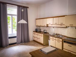 Dittrichova Apartment - Prague - 8