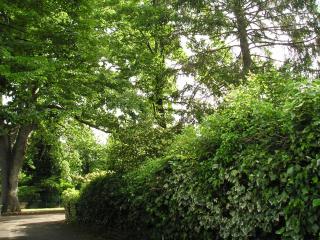 Casa vacanze Il Parco - 7