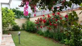Giulia's House - Santa Luria - 5