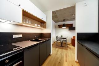 Apartmány MIG POINT v centru Brna - Brno - 2