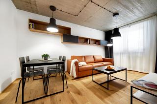 Apartmány MIG POINT v centru Brna - Brno - 9