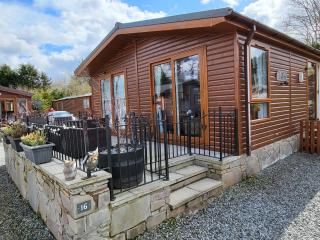 Red Squirrel Lodge - Auchterarder - 8