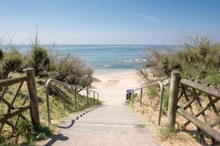 42m overlooking the pine forest and near the sea - Les Sables-d'Olonne - 3
