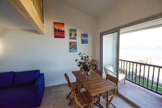 Pin laricio - Grimaud - 9