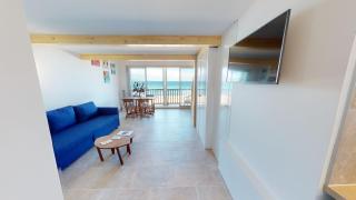 Pin laricio - Grimaud - 8