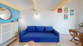 Pin laricio - Grimaud - 6