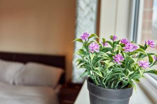 A modern home away from home - Killingbeck - 1