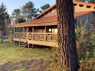 Le Gîte de l'Aérogrange - Biscarrosse - 8