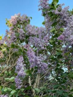 Amsel Appartements - Gemütliches Appartement 10 Minuten zum Strand - 2
