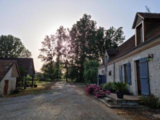 L'Aupinouse Chambre double Giroflée avec salle de bain privative - La Suze-sur-Sarthe - 9
