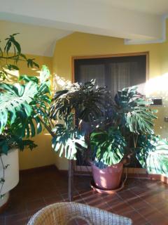 Il Sole IUN R0020 - 5