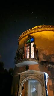 Casa Paraiso - Benajarafe - 8
