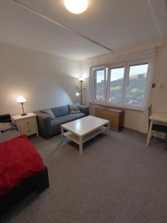 Sušice apartmán 18 - Sušice - 4