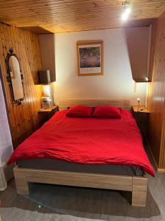 Au village d'Evolène, très joli studio calme et ensoleillé - Evolène - 5