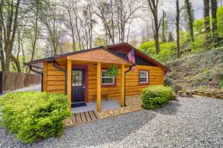 Multi-Unit Brevard Vacation Rental with Patio! - Brevard - 9