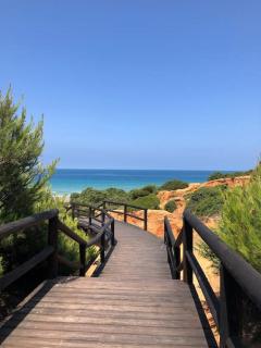 VILLA ANDEMAR - Chiclana de la Frontera - 8