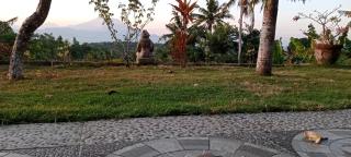 Mount Sea View Bungalow - 7