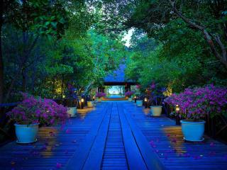 Rebak Island Resort & Marina, Langkawi 大自然 野生动物与美食爱好者的天堂 - Pantai Cenang - 6