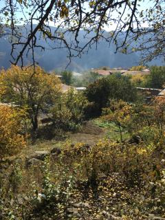 Syunyats guest house - Halidzor - 5