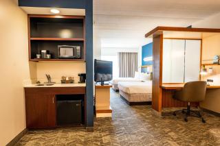 Springhill Suites by Marriott San Antonio Alamo Plaza/Convention Center - San Antonio - 3